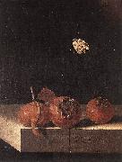 COORTE, Adriaen Three Medlars with a Butterfly df Spain oil painting artist